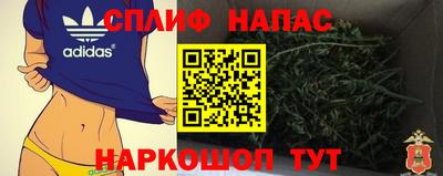 PSILOCYBIN Моздок