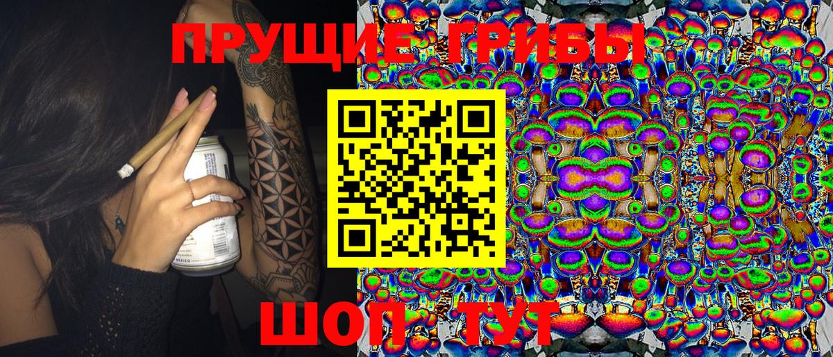 Фурманов  Псилоцибиновые грибы прущие грибы  Вход с VPN 